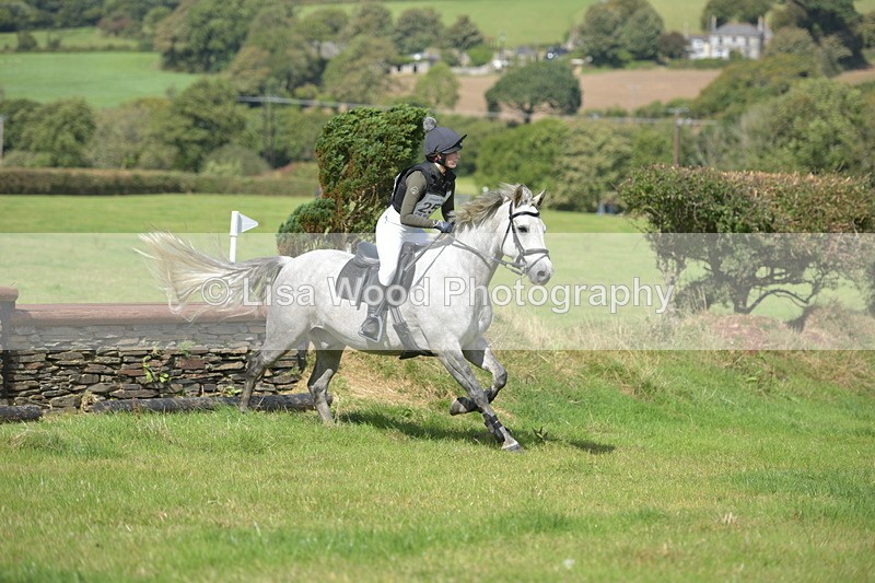 RAY_8676 - Class 2: Trekenning Open: Wall