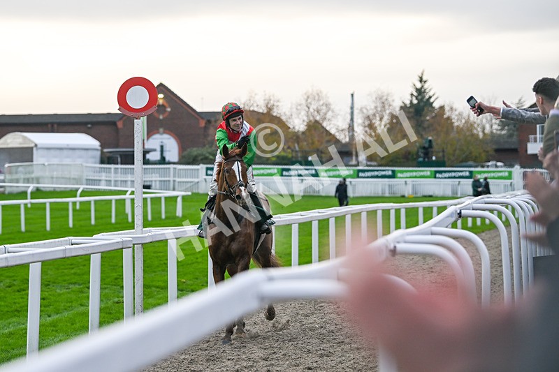 161124-Race 5-Doyen Quest-1033 - Race 5