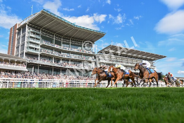 yr21052022r7-38 - Race 7: 5:15pm Reg Bond Always and Forever Stakes
