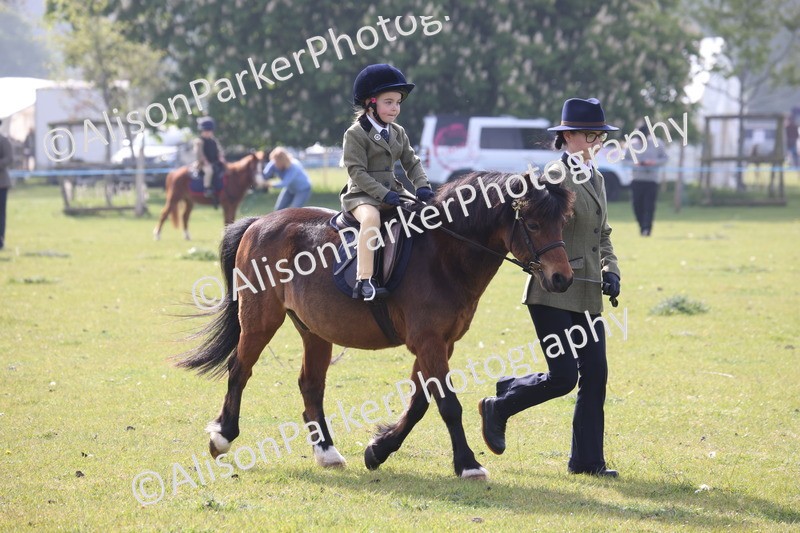 20260426-0340 - Class 30 - Tiny Tots Lead Rein