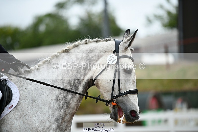 250705-104427-00307 - BRCP1 Sections BRCP1SNR, BRCP1JNR 09-30 to 10-40