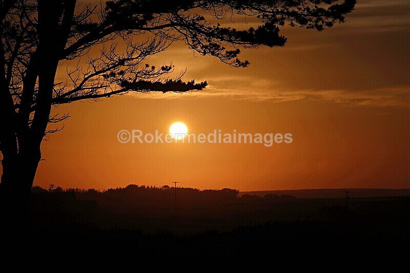 _56A6931 - Skomer 2019