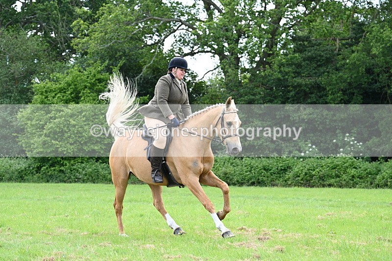 WJ7_2507 - Class 12A Coloured Class