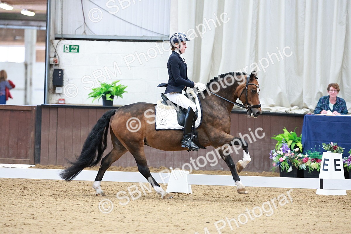SBM_017153 - Class15 - FEI Pony