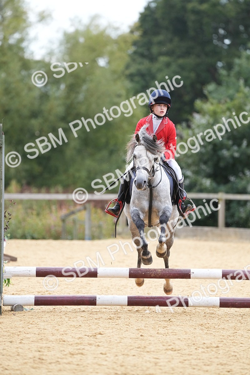 SBM_74851 - J4 - Mini Tour Junior Pony 45cm Championship