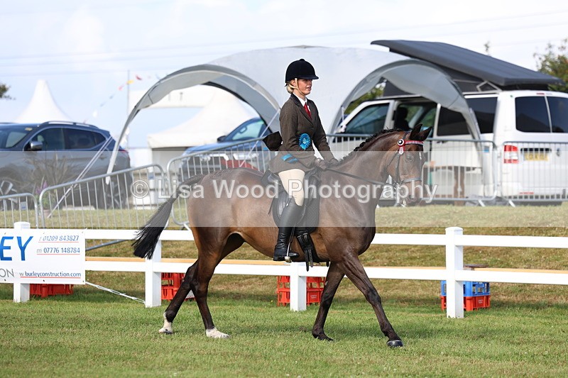 3E7A8434 - Class 2: Rising Star Large Hack/Riding Horse