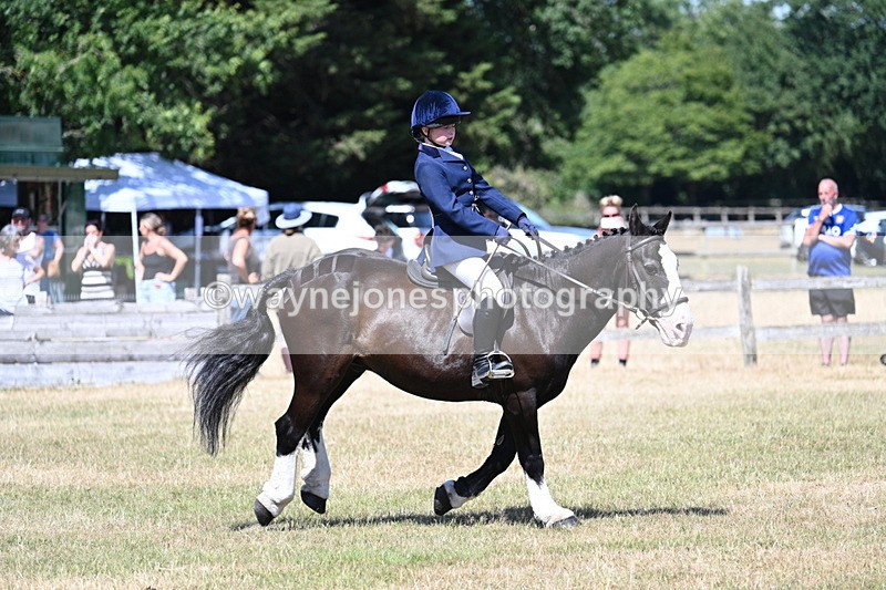 WJ7_3731 - Class 8 Ridden Veterans