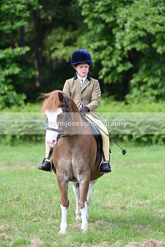 WJ7_0801 - Class 8 First Rally Pony