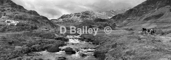 Watkin Path b/w - Landscapes