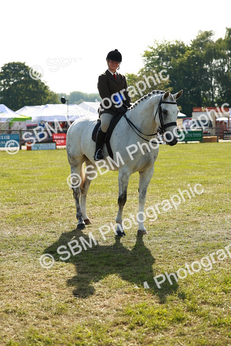SBM_10962 - Class 66-69 - RIHS Ridden Hunters Inc Small Hunter