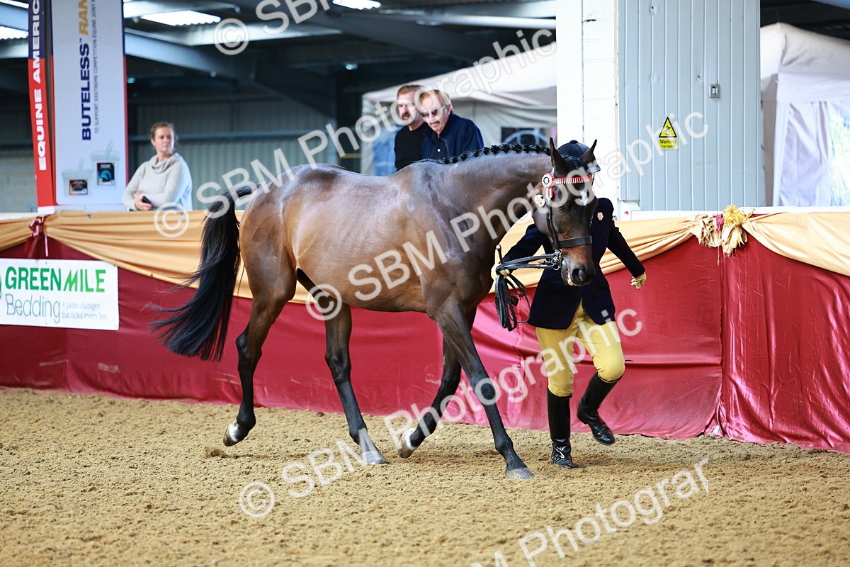 SBM_22171 - Class 902 - Supreme Final - IH Diamond