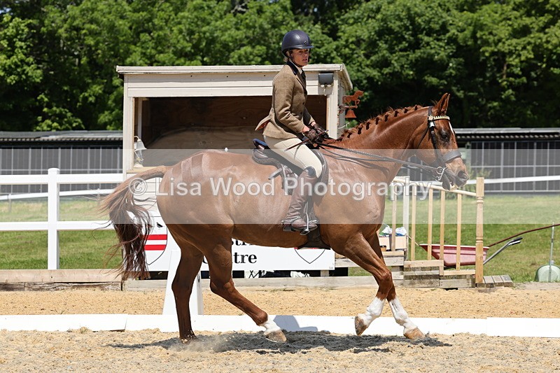 1X9A1852 - Class 12: Ridden Riding Horse/Hack