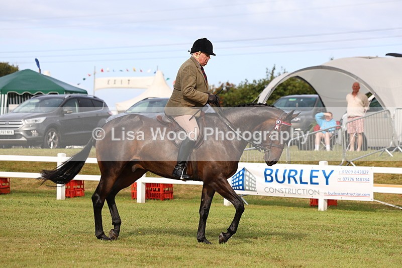 3E7A7982 - Class 2: Rising Star Large Hack/Riding Horse