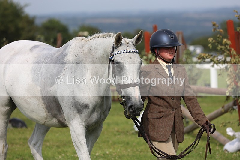 JPP_4309 - Class 25: Working Show Horse