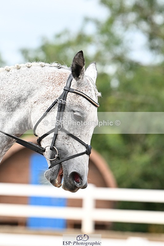 240817A-132314-08826 - 257-Looby.Marsden-RAINBOW.DREAM