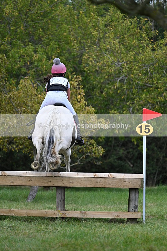 WJ7_8490 - 80cm XC Time 15:45 to 16:02