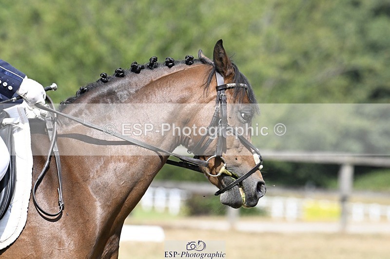 250822A-114251-22352 - DR 11.00 to 12.00