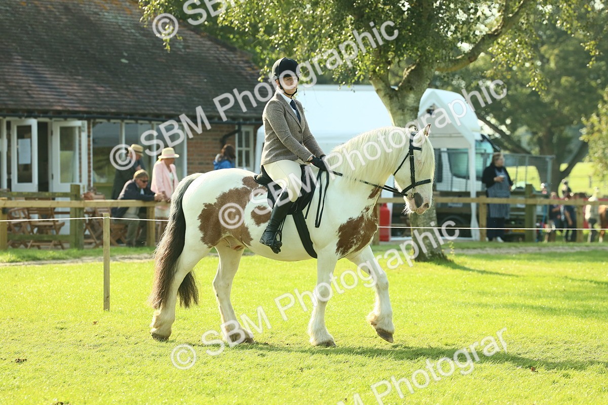 SBM_59308 - S38 - Starters Ridden Showing