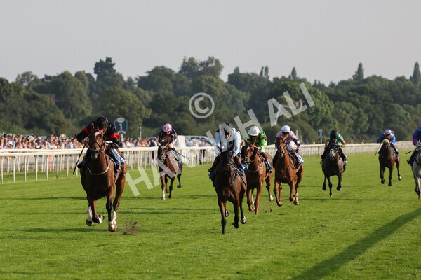 yr05092021r7-19 - Race 7 5.10pm Yorkshire Regiment Stakes
