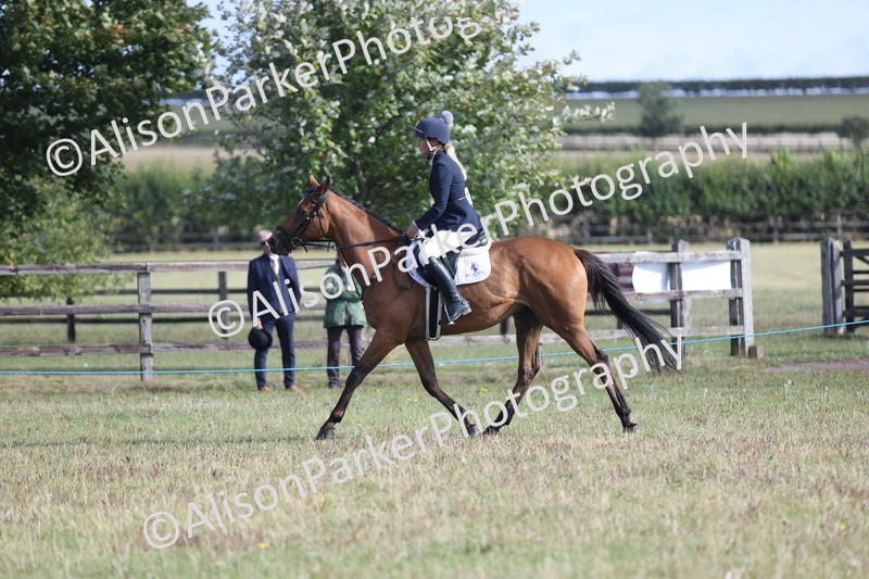 20250831-0876 - Class 14 - Ex Racehorse