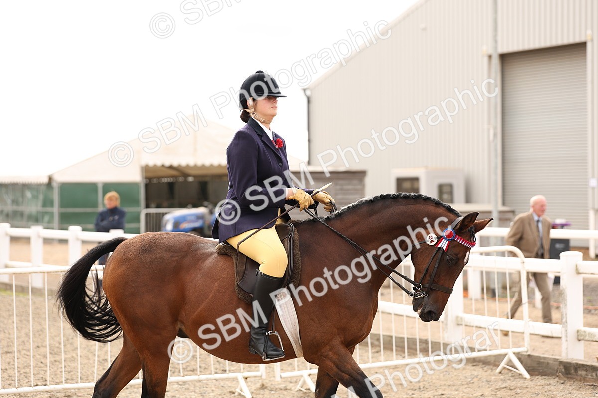 SBM_01613 - Class 52 - Ridden Veteran