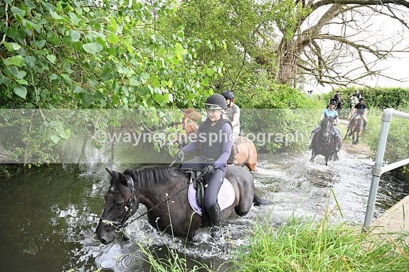 WJ7_1951 - Camera 2 Water Crossing