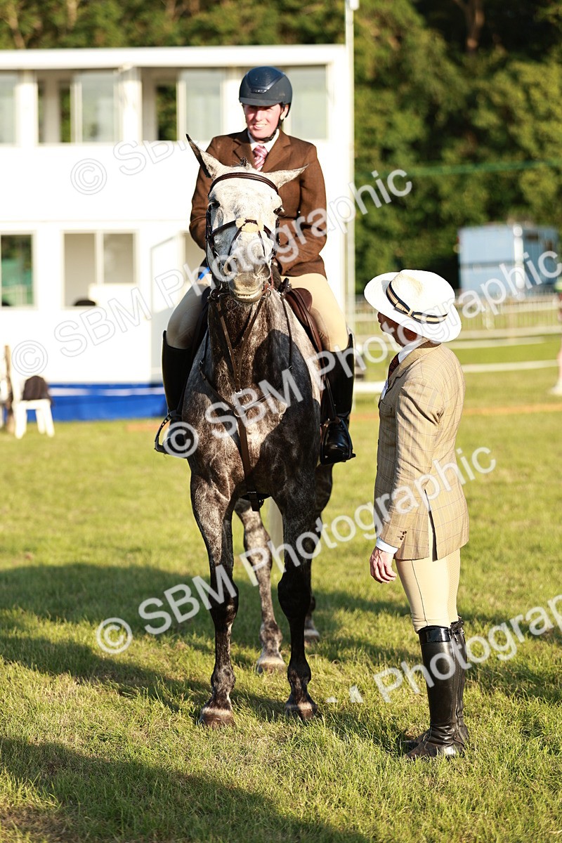 SBM_20565 - Class 117-119 - Sport Horse Working Hunter