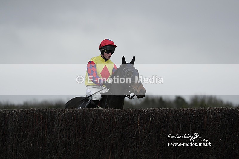 PtP 260323 0715 - New Forest Hounds Point-to-Point Larkhill 26/03/23