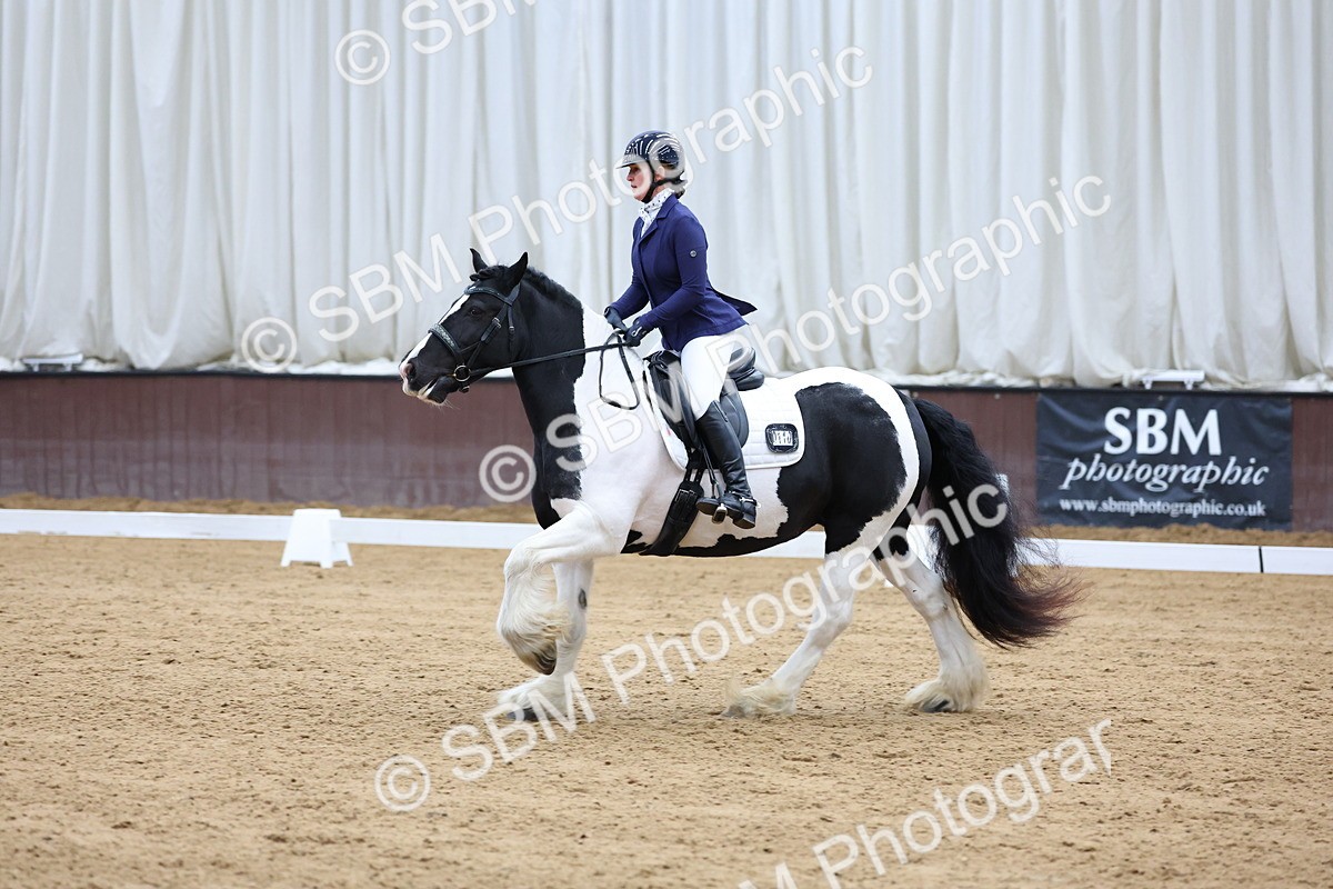 SBM_002275 - Novice 2