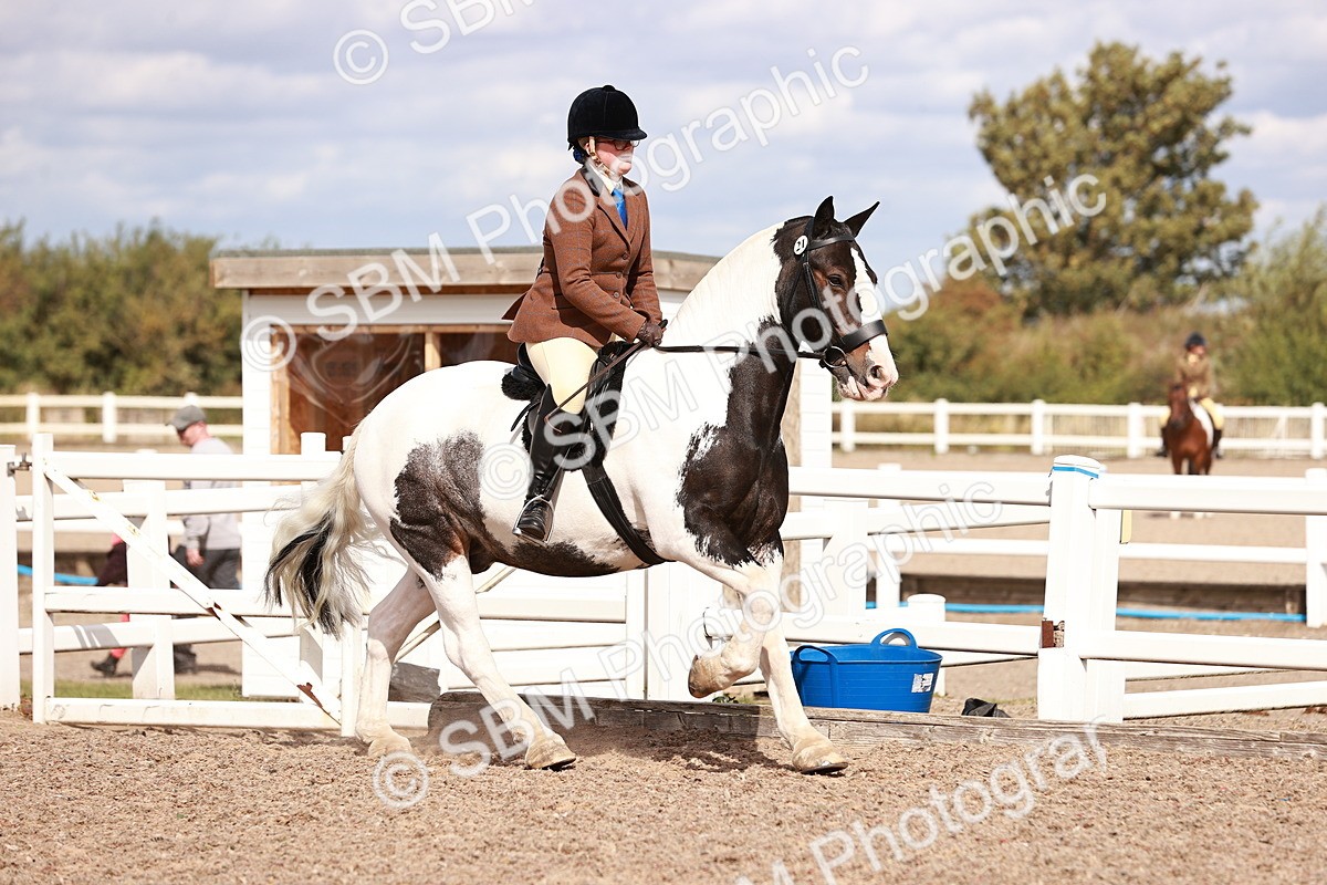 SBM_14430 - Class 410 - Grassroots Ridden - Horse