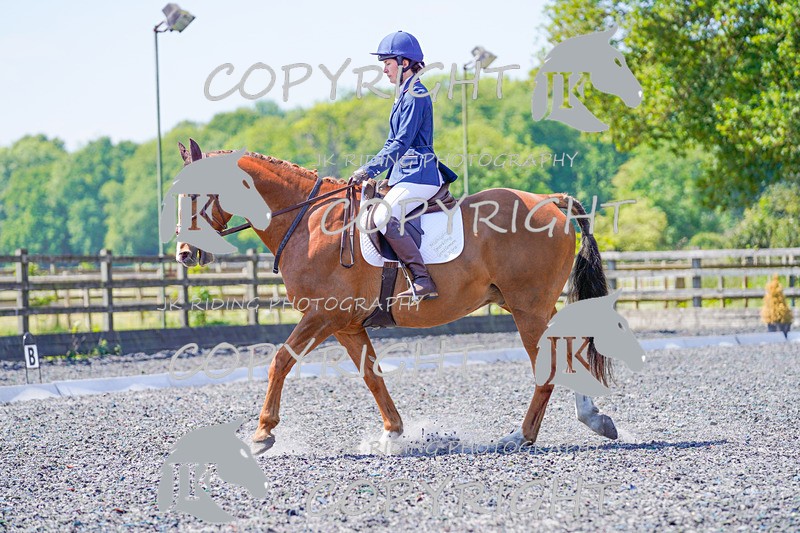 _DSC3597 - PRELIM 1