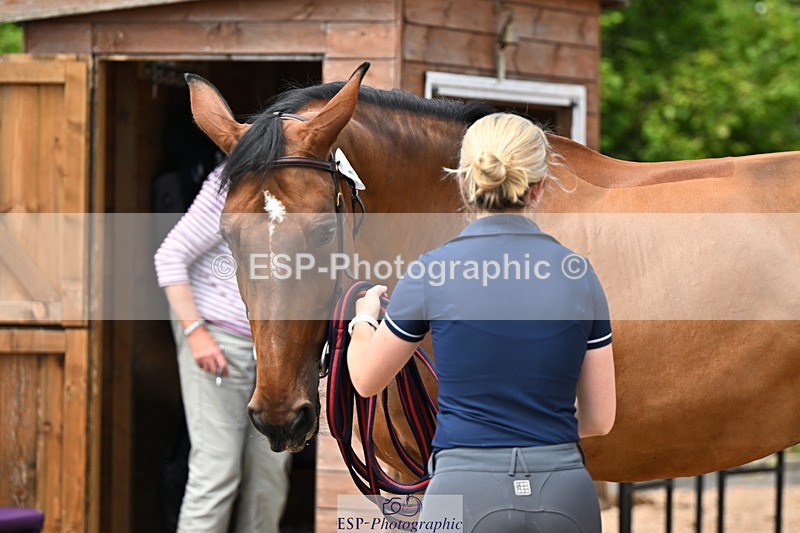 240718A-105304-01514 - Trot Up 12pm to 1pm