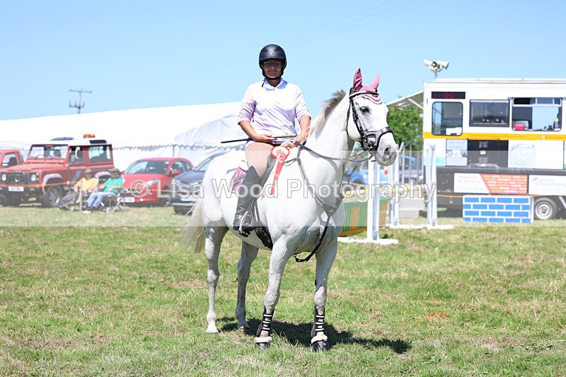 3E7A5691 - Class 9: Senior British Novice/90cm open