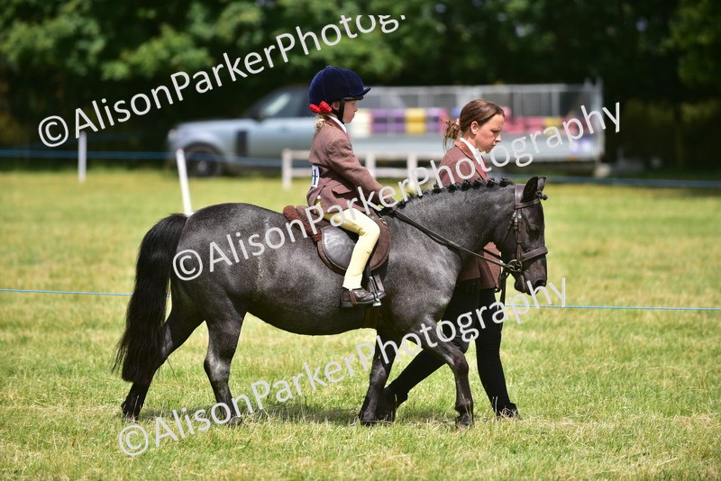 20260614-1360 - Class 11b - Lead Rein Pony (Plaited)