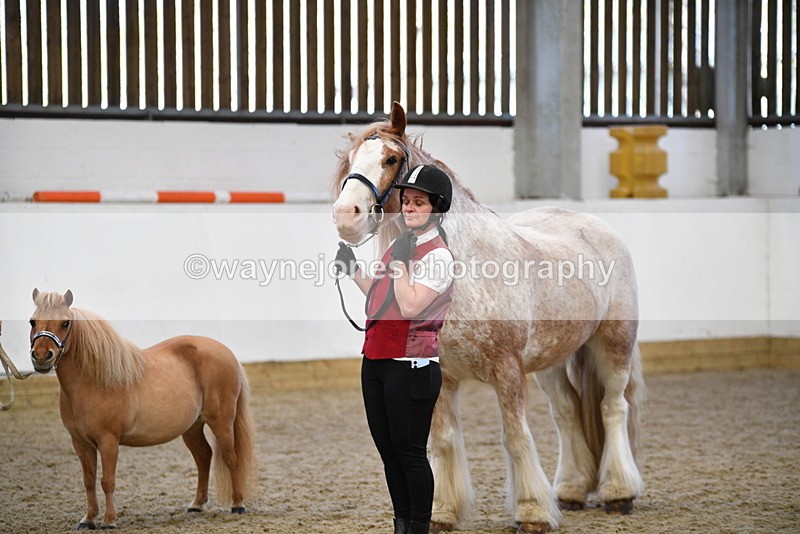 WJ5_5090 - Class 7 In hand coloured / odd coloured