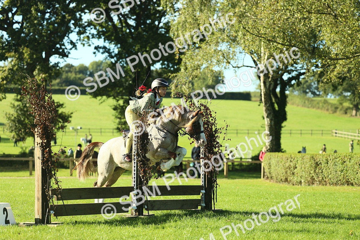 SBM_36355 - S29 - Novice & Newcomers Working Hunter Pony
