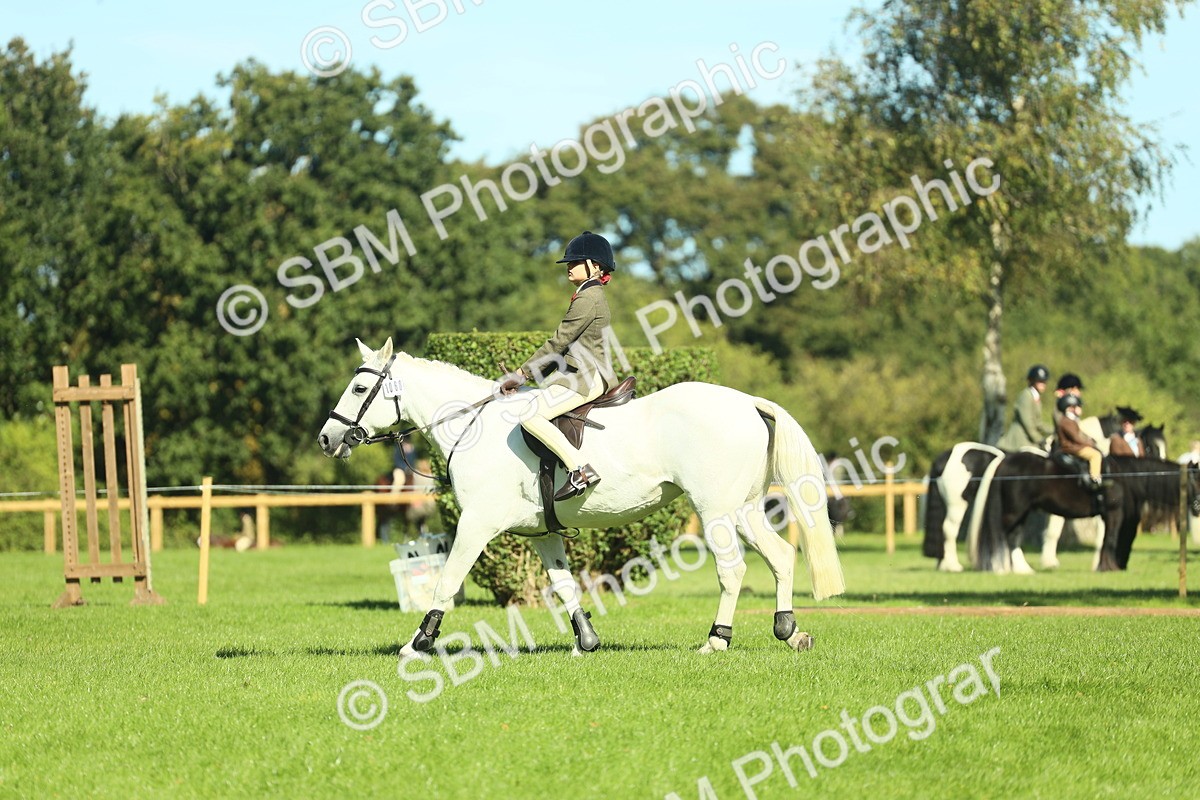 SBM_39142 - S29 - Novice & Newcomers Working Hunter Pony