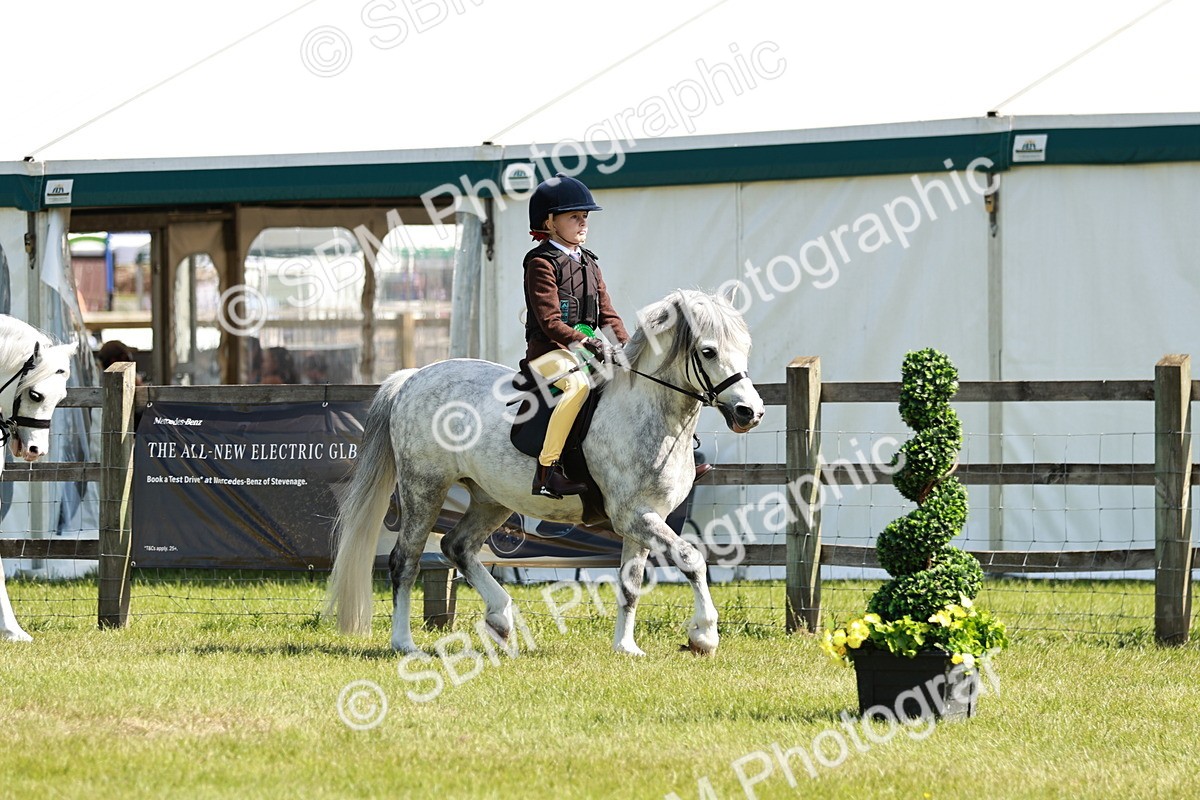 SBM_12847 - Class 106-107 - BSPS LIHS Working Sports Pony