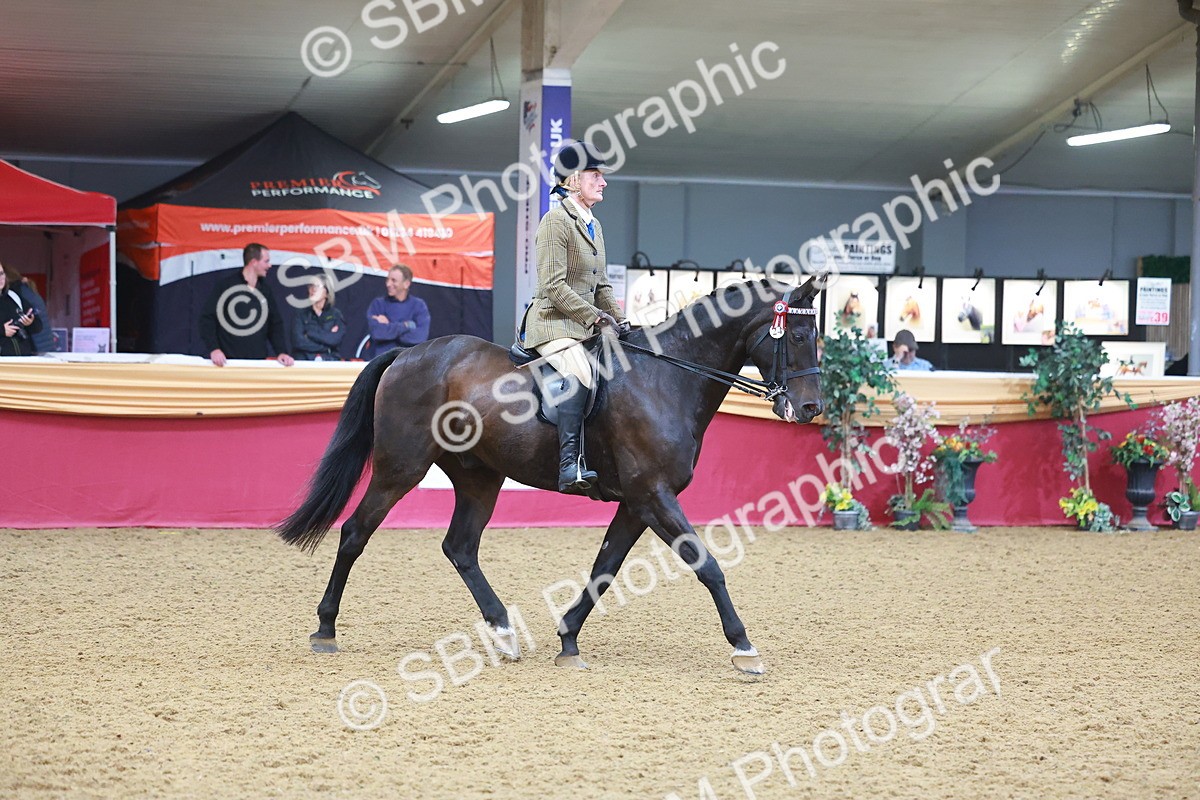 SBM_09706 - Class 102 - HOYS Veteran Qualifier - Ridden Veteran