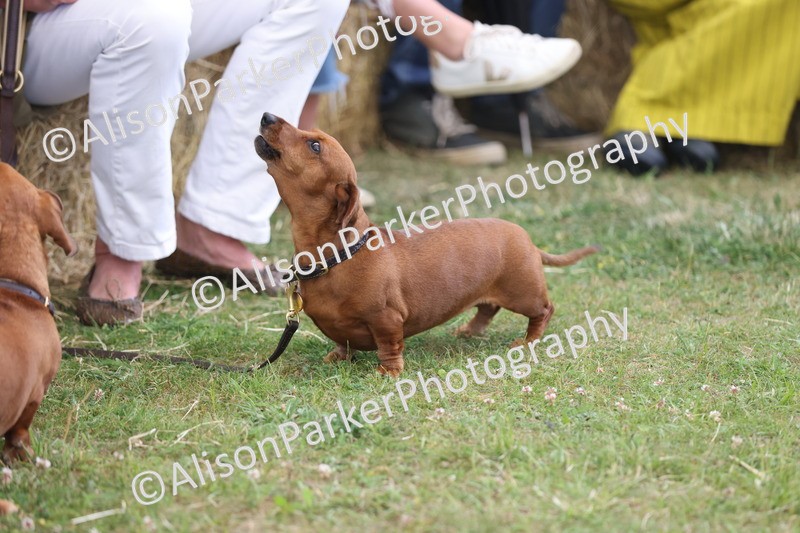 20250607-0477 - Best in Show