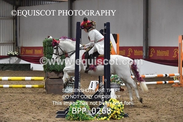 BPP_0268 - CLASS 3 50CM