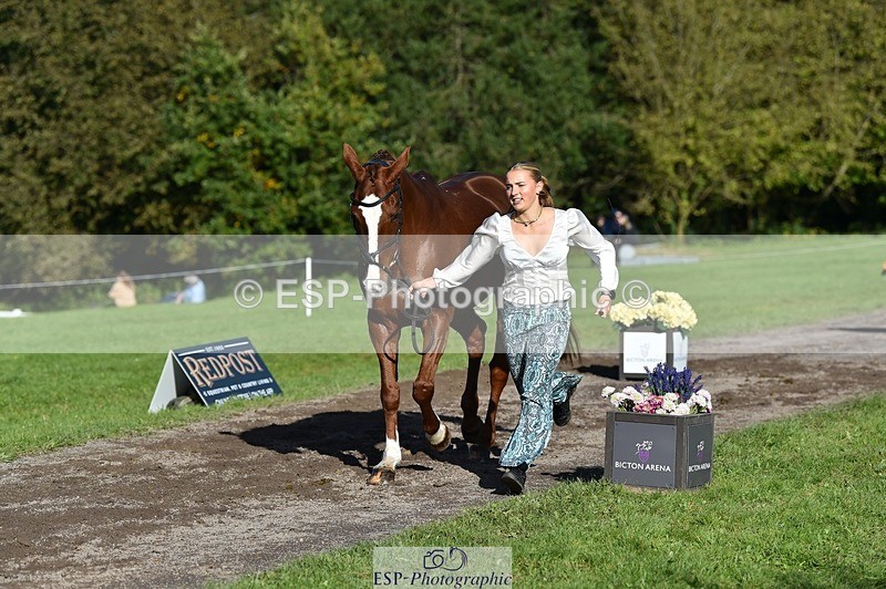 231022-111524-23840 - 564-JANA.DE.CAVAIGNAC-Rosie.Kendall-TrotUp+SJ