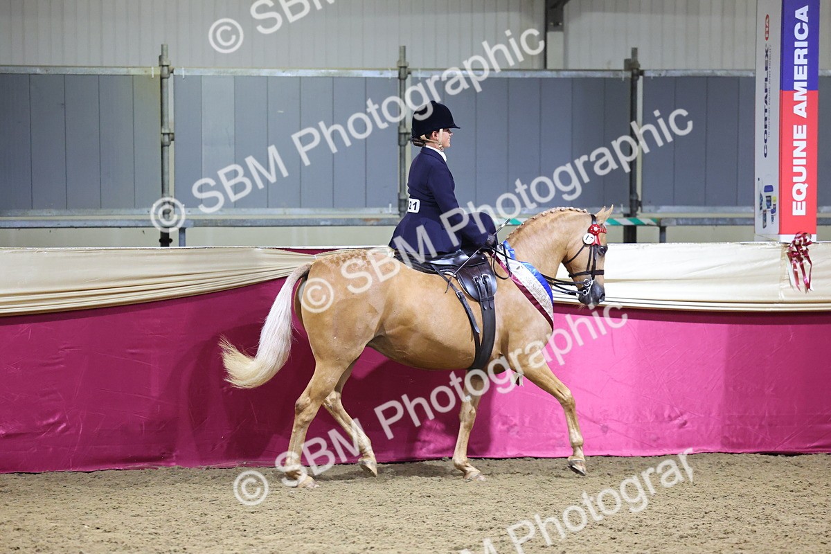 0B8A4259 - Class L Side Saddle Champ