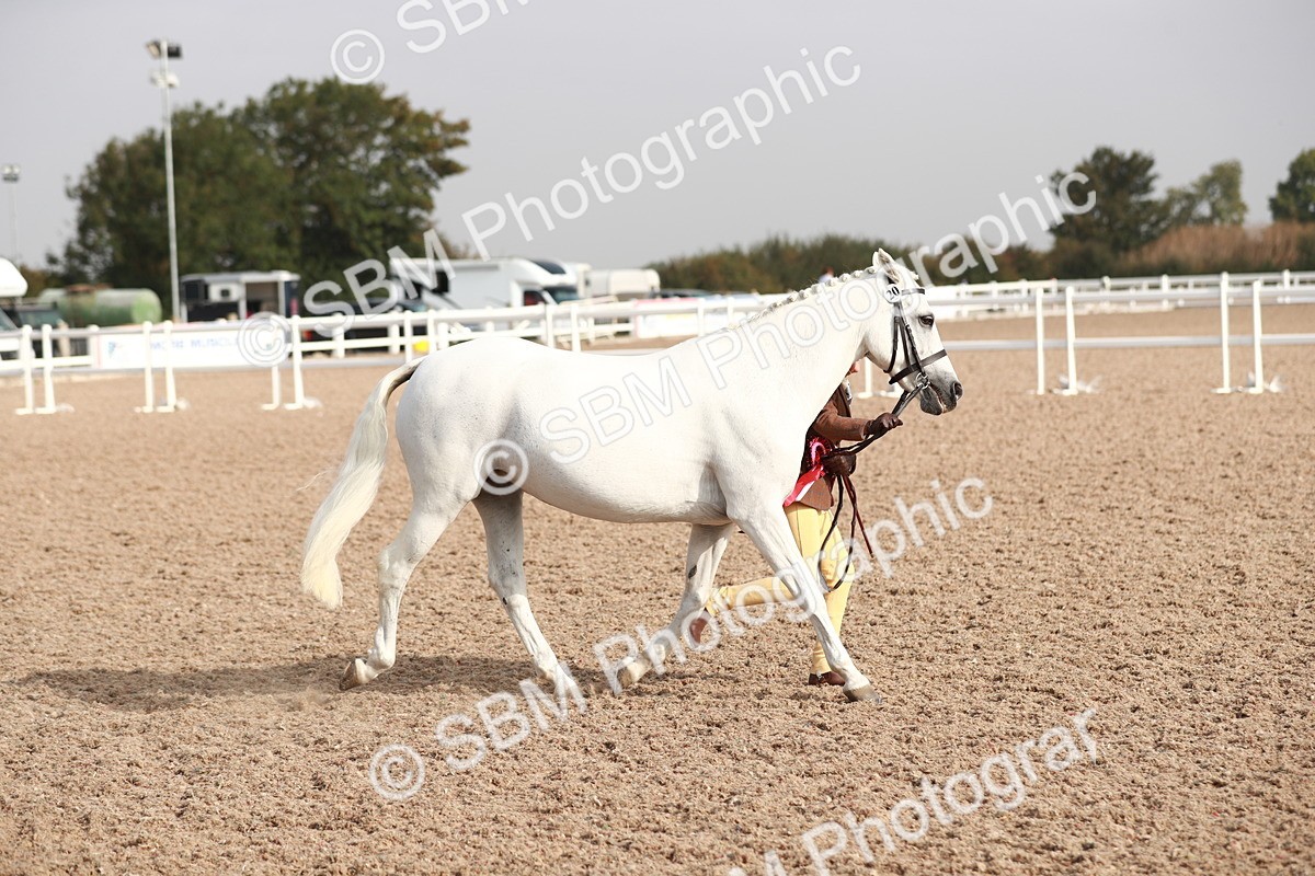 SBM_09957 - Class 203 Young Handler, 10 years and under