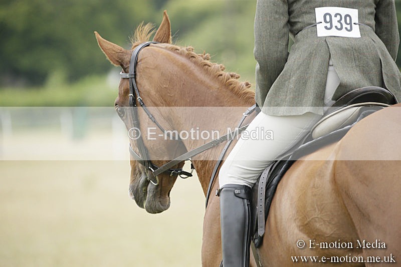 B230619-0884 - Bourne Valley Riding Club Summer Show 23/06/19