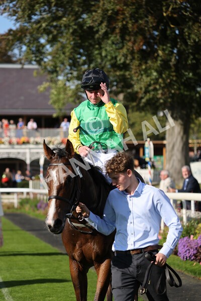 yr08102021r2-36 - Race 2 2.40pm Racing to School EBF Novice Stakes