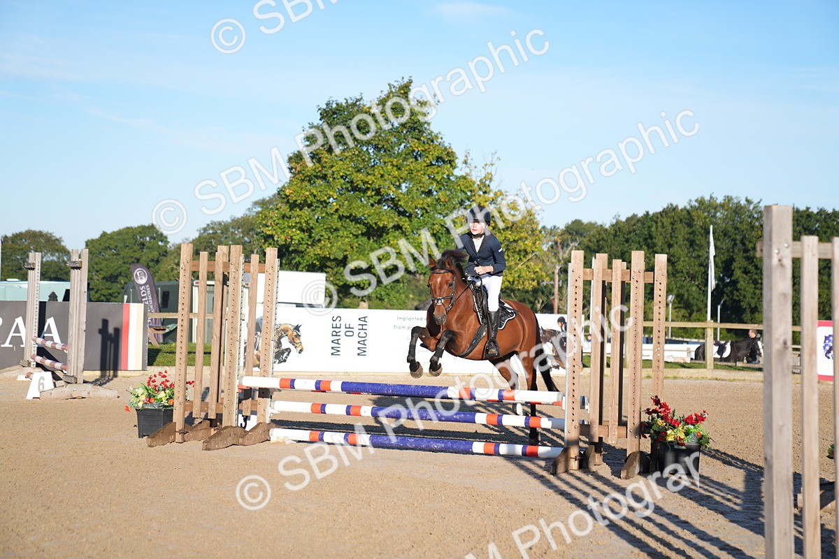 SBM_13948 - J59 - Clear Round - 65cm