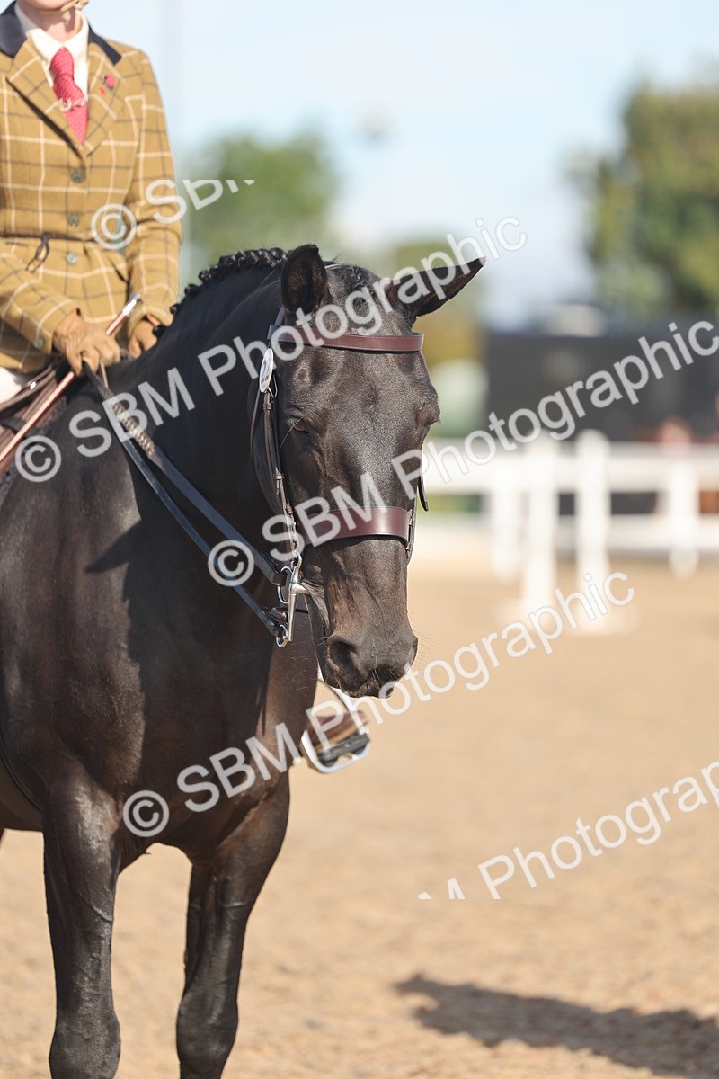 SBM_12392 - Class 304 - Ridden part Bred Horse Pony