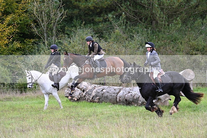 WJ7_3902 - Camera 1 Line 1