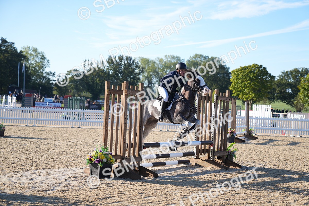 SBM_13983 - J59 - Clear Round - 65cm